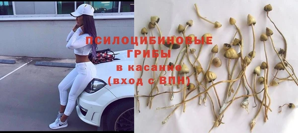 не бодяженный Верхний Тагил