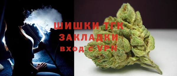 спайс Вяземский