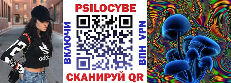Галлюциногенные грибы Psilocybine cubensis  Десногорск 