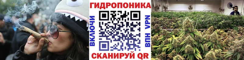 Шишки марихуана гибрид  наркошоп  Десногорск 